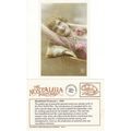 Postcard Edwardian Model c1910 Hand Tinted Woma...