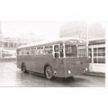 Black & White Photograph of Manchester Corporat...