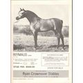 ryan crownover stables 1972 riymaus emaus riyad...
