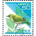 JAPAN, BIRD, Warbling white-eye, Zosterops japo...