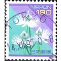 JAPAN, FLOWER, White egret orchid, Pecteilis ra...
