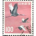 JAPAN, BIRD, Red crowned crane, Grus japonensis...