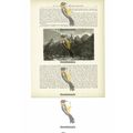 Organ Mountains, Rio De Janeiro, Brazil, Book I...