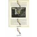 Canyon, Mexico, Book Illustration (Print), c1880