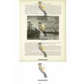 Water Reach, Mexico, Book Illustration (Print),...