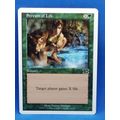 1999 Magic The Gathering Classic Sixth Edition ...