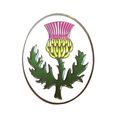 Thistle Flower Scottish Celtic Devotion Bravery...