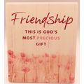 Friendship Plaque Wall & Standing This is Gods ...