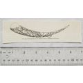 1860s engraving - carved hunting horn belonging...