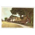 Essex postcard Thatched Cottage Hall Lane Walto...