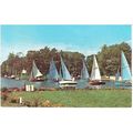 Horning, Norfolk - Regatta - plastichrome postc...