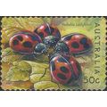 AUSTRALIA, INSECT, Vedalia ladybird, yellow 200...