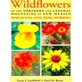 Wildflowers Of The Northern And Central Mountai...