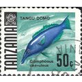 TANZANIA, FISH, Green Birdmouth Wrasse, blue-gr...