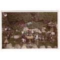 The Gnomes Garden Blackgang Chine Isle of Wight...