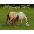 Chincoteaque Island with Horses Virginia Fridge...