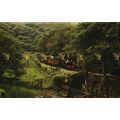 Dolgoch Fall Station, Talyllyn, Wales, Colourma...