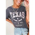 Medium Grey TEXAS Steer Head Graphic Mineral Wa...
