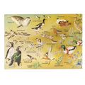 SHORELINE ANIMALS, birds German used vintage po...