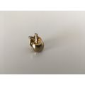 PIN BADGE - APPLE