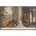 Carnanton Drive near Newquay, Cornwall, 1907 - ...