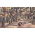 E114 WESTON SUPER MARE -KEWSTOKE WOODS. A.R.QUI...