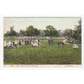 Park Hill Recreation Ground Croydon Postcard Su...