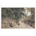 Chantry Lane Bexhill-on-Sea East Sussex Postcar...