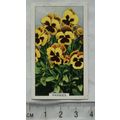 1938 Gallaher's Garden flowers No. 32 Pansies