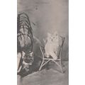 Cat Cats Old Friends Friend Companion Chair Tor...