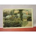 BOURNEMOUTH WINTER GARDENS, DORSET used antique...