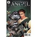 Angel (Vol 1) # 004 NM (CvrA) MODERN AGE COMICS