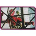 Merlin's Spider-Man (2002) Sticker Collection -...