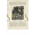 Jordans, Burials of Penn, Penington & Ellwood, ...