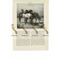 Wild Horses, Book Illustration (Print), 1888