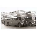 Black & White Photograph of Manchester Corporat...
