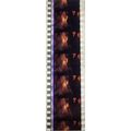 VAMPIRES. Pk MTP - b043q . 1 STRIP OF 5 - 35MM ...