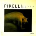 The Best of the Pirelli Calender by Laura Laurenzi