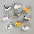Fridge Magnet Cat Refrigerator Decor Kitty Cat