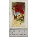 vintage postcard Birthday Greetings - Thatched ...
