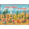 Desert Plants of the Southwest, 1971 - Ferris H...