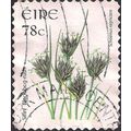EIRE, FLOWERS, Black bog-rush (adhesive), white...