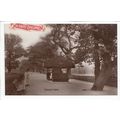 Dulwich Park South London RP Postcard 6355