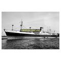 mc0205 - Blue Star Cargo Ship - Queensland Star...