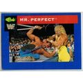 WWF ' CLASSIC ' card # 71 TEXAS TORNADO (1991)