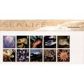 GB 2007 Sea Life Presentation Pack #393 Unmount...