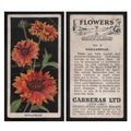 1936 Carreras Ltd Cigarette card FLOWERS no.8 G...