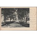 In the Gardens, Leamington, Warwickshire, 1902 ...