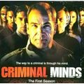 Criminal Minds: The First Season 1 FBI Drama 20...