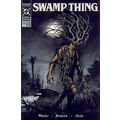 Swamp Thing (Vol 2) # 099 NM MODERN AGE COMICS